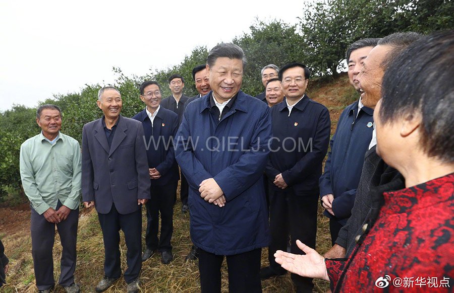 光山油茶籽榨油設備,山茶籽油榨油機廠家(圖2) 光山油茶籽榨油設備,山茶籽油榨油機廠家(圖2)